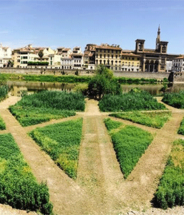 Terzo Giardino, riapre a Firenze il parco in riva al fiume Arno