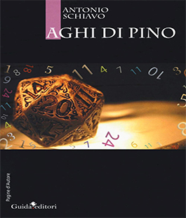 "Aghi di pino", presentazione del libro di Antonio Schiavo a Palazzo del Pegaso