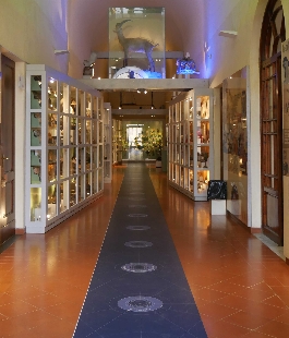 Il Museo della Fondazione Scienza e Tecnica di Firenze online su Google Arts & Culture