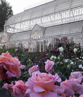 Mostra mercato primaverile di piante e fiori al Giardino dell'Orticultura