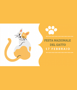 "Festa nazionale del gatto", il programma di iniziative alla Biblioteca Buonarroti di Firenze