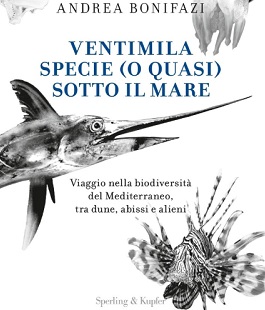 "Ventimila specie (o quasi) sotto il mare", Andrea Bonifazi alle Oblate di Firenze