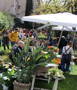 Firenze Flower Show: la mostra mercato di piante rare e inconsuete al Giardino Corsini