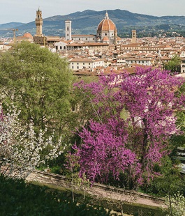 Fondazione CR Firenze: a Villa Bardini la navetta elettrica gratuita per la visita del giardino