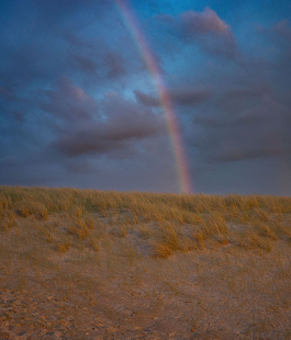 "The Rainbow Over Florence", la mostra di Piero Percoco alla Manifattura Tabacchi di Firenze