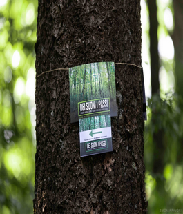 Portalegiovani Portalegiovani