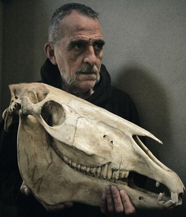 Portalegiovani Portalegiovani