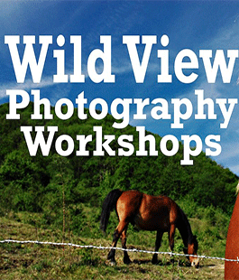 Wild View Photography Workshop in Alto Mugello