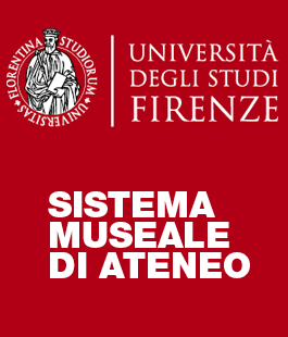 Festività natalizie, le proposte del Sistema Museale dell'Università di Firenze