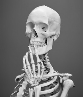 Il_Laboratorio: "Human Skeleton Family Senior", incontro con Terza Cultura