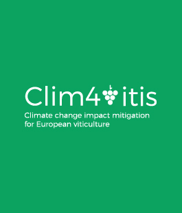 La vite, il vino e il cambiamento climatico: all'UniFi meeting di un progetto europeo