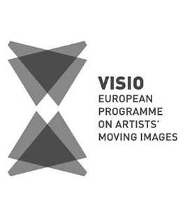 Open Call per 12 giovani artisti: VISIO - European Programme on Artists' Moving Images