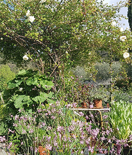 Corso di potatura delle rose con Mondorose e Fiori