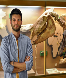 Paleontologia virtuale, un nuovo metodo per correggere le deformazioni di campioni fossili