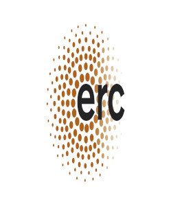 Finanziamenti ERC del Consiglio Europeo della Ricerca