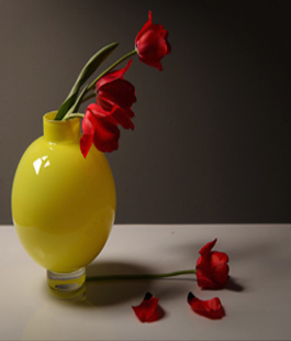 Portalegiovani Portalegiovani