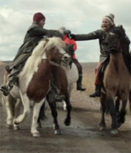 "Storie di cavalli e di uomini", il film di Benedikt Erlingsson alla Manifattura Tabacchi