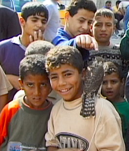 Portalegiovani Portalegiovani