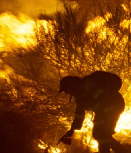 "O que arde - Verr&agrave; il fuoco", il film di Oliver Laxe al cinema La Compagnia di Firenze
